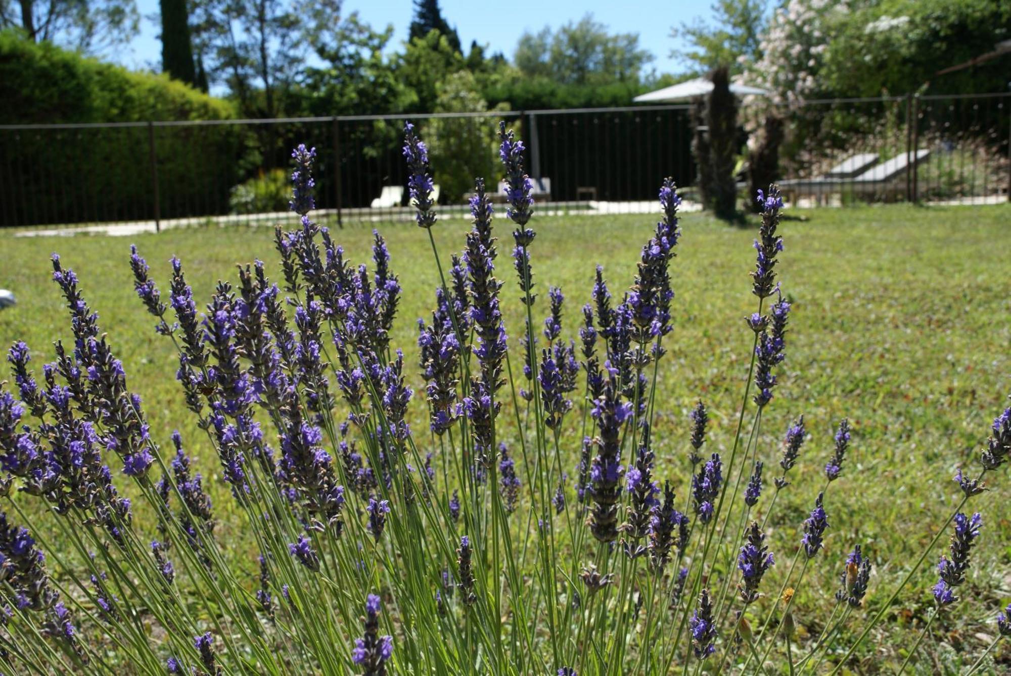 Cote Provence Le Thor