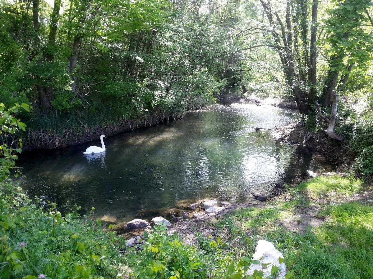 Cote Provence